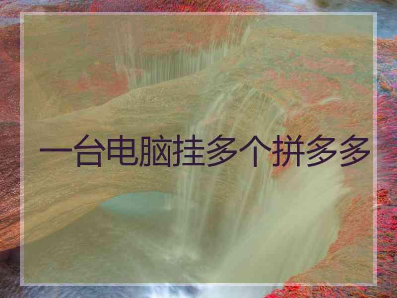 一台电脑挂多个拼多多 一台电脑挂多个拼多多