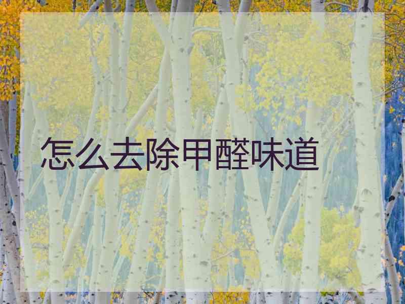 怎么去除甲醛味道 怎么去除甲醛味道