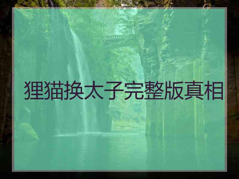 狸猫换太子完整版真相 狸猫换太子完整版真相