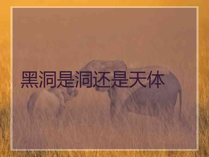 黑洞是洞还是天体 黑洞是洞还是天体