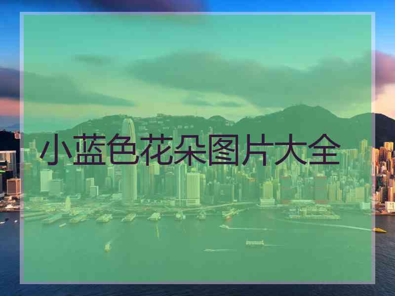 小蓝色花朵图片大全