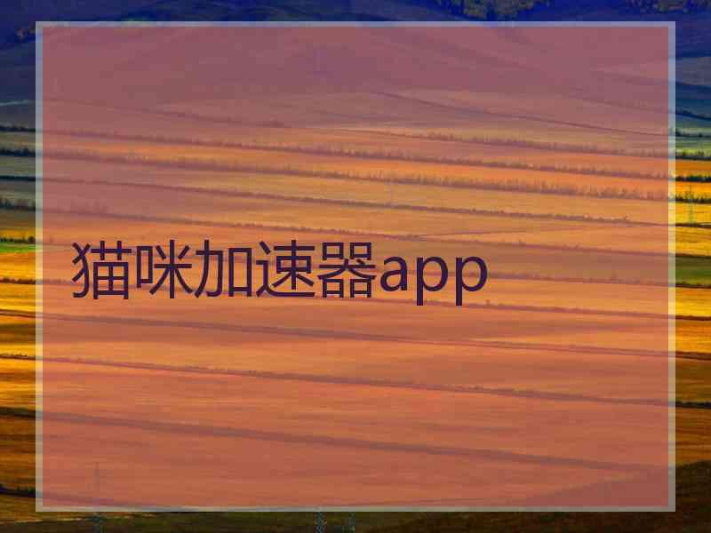 猫咪加速器app 猫咪加速器app