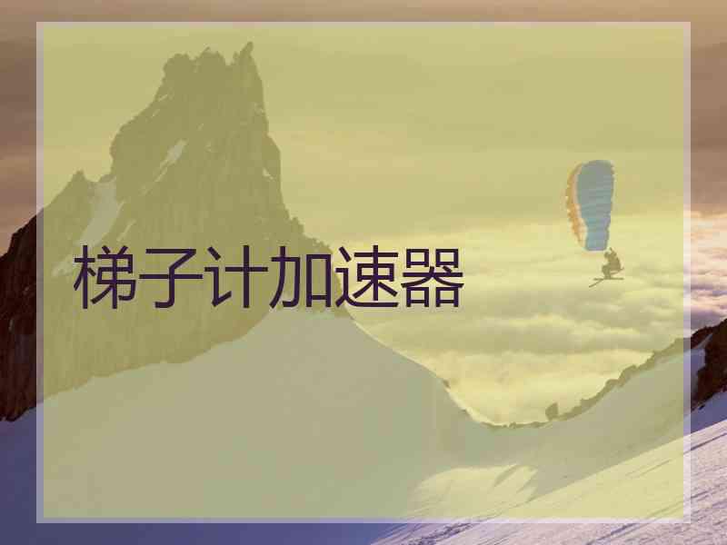 梯子计加速器 梯子计加速器