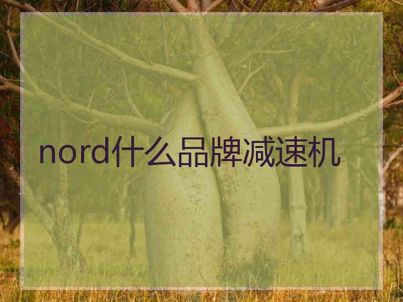 nord什么品牌减速机 nord什么品牌减速机