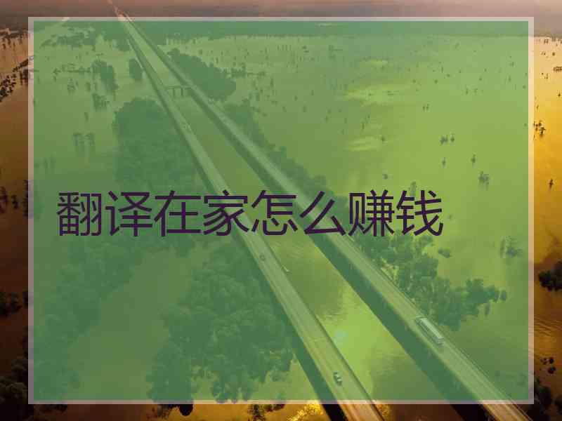 翻译在家怎么赚钱 翻译在家怎么赚钱
