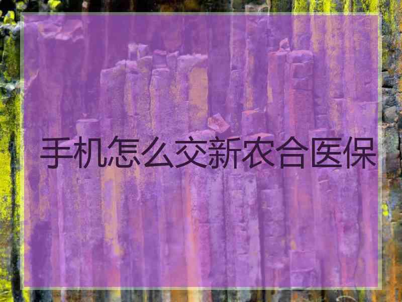 手机怎么交新农合医保