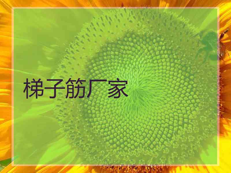 梯子筋厂家 梯子筋厂家