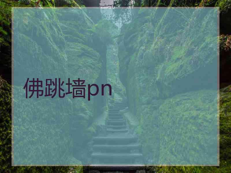 佛跳墙pn 佛跳墙pn