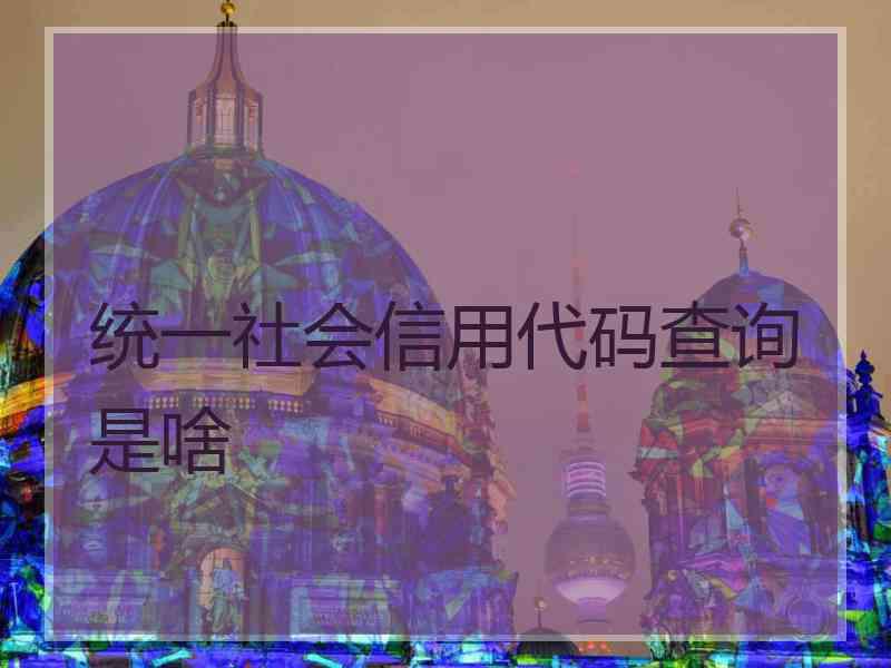 统一社会信用代码查询是啥 统一社会信用代码查询是啥