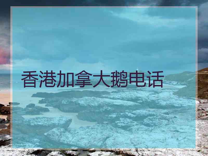 香港加拿大鹅电话 香港加拿大鹅电话