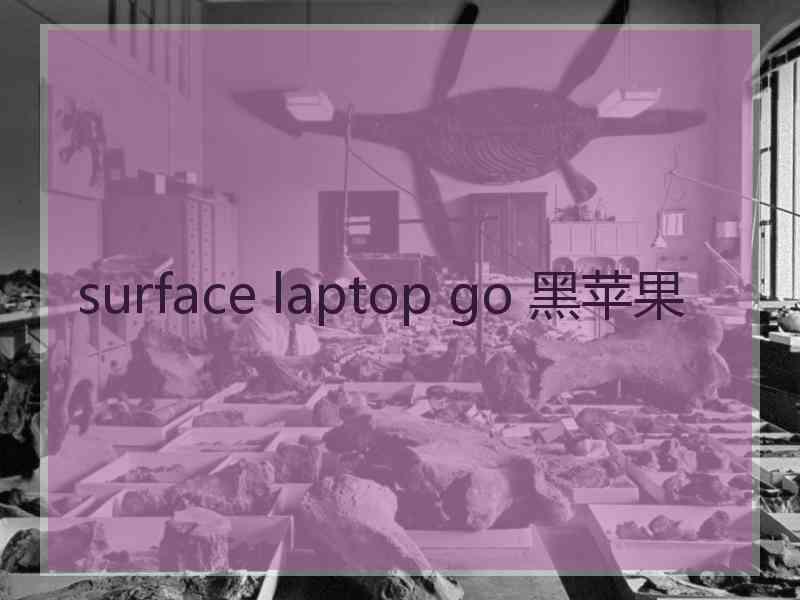 surface laptop go 黑苹果 surface laptop go 黑苹果