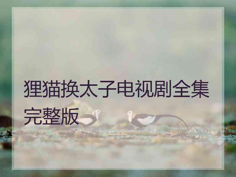 狸猫换太子电视剧全集完整版