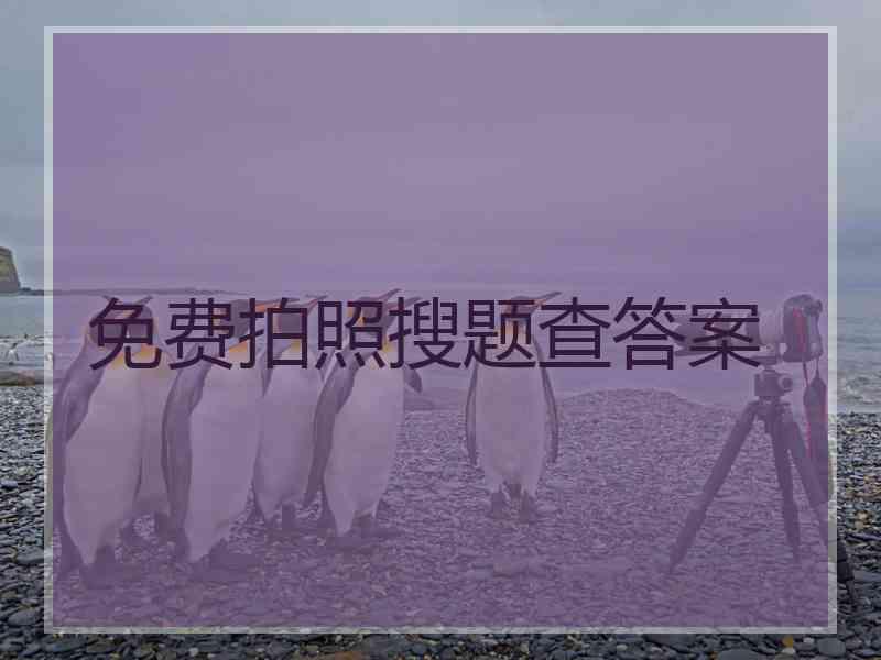 免费拍照搜题查答案