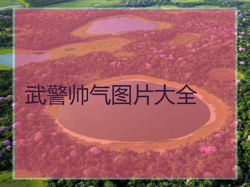 武警帅气图片大全