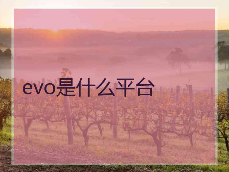 evo是什么平台 evo是什么平台