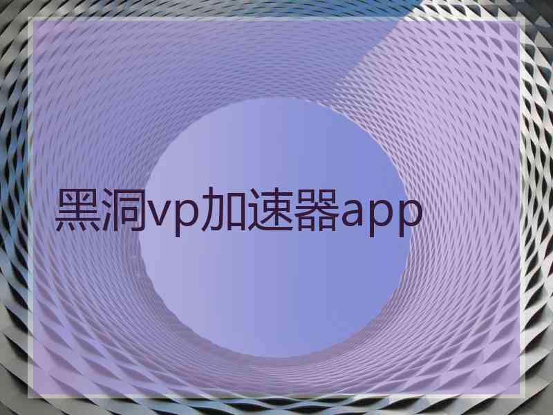 黑洞vp加速器app