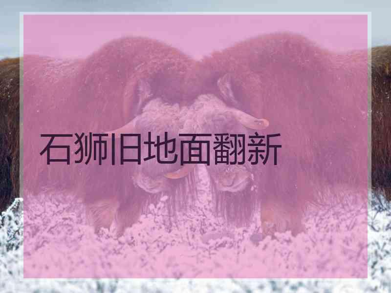 石狮旧地面翻新