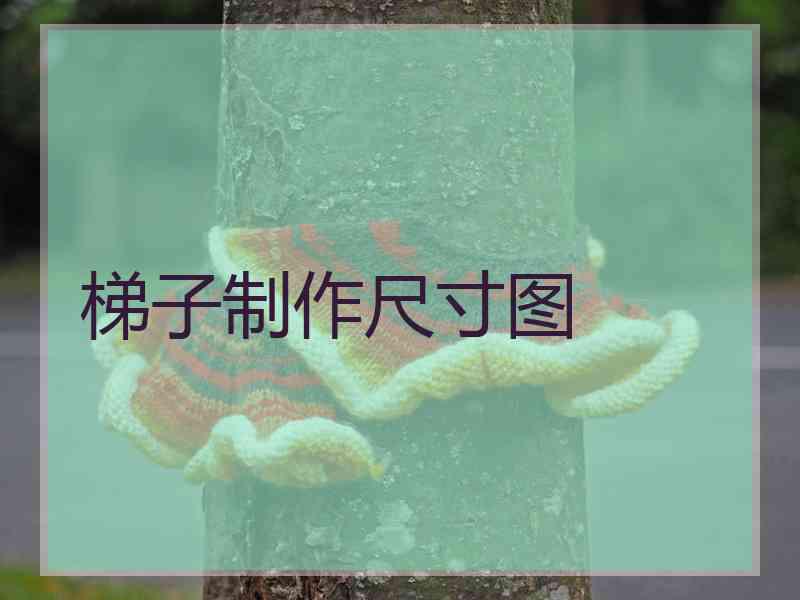 梯子制作尺寸图 梯子制作尺寸图