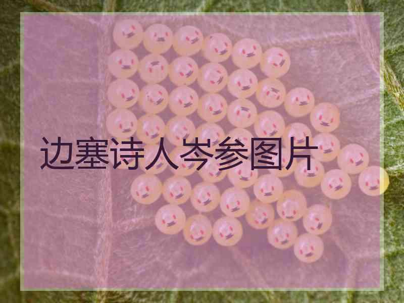 边塞诗人岑参图片