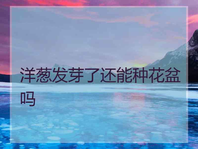 洋葱发芽了还能种花盆吗 洋葱发芽了还能种花盆吗