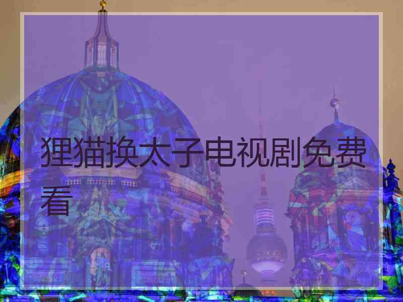 狸猫换太子电视剧免费看 狸猫换太子电视剧免费看
