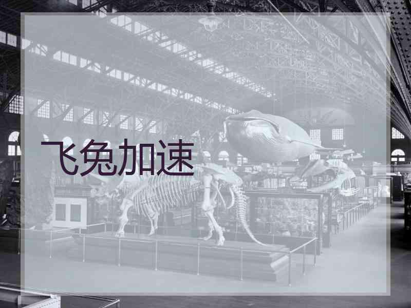 飞兔加速 飞兔加速