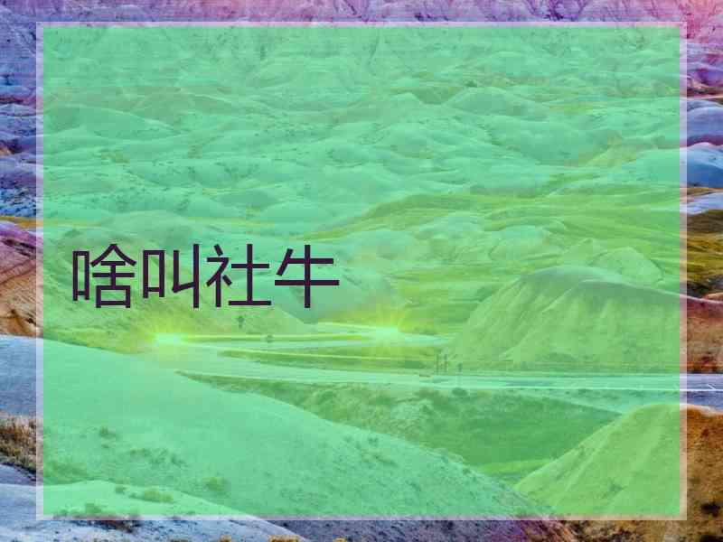 啥叫社牛