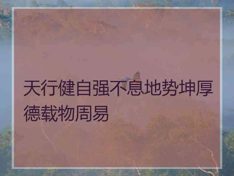 天行健自强不息地势坤厚德载物周易 天行健自强不息地势坤厚德载物周易