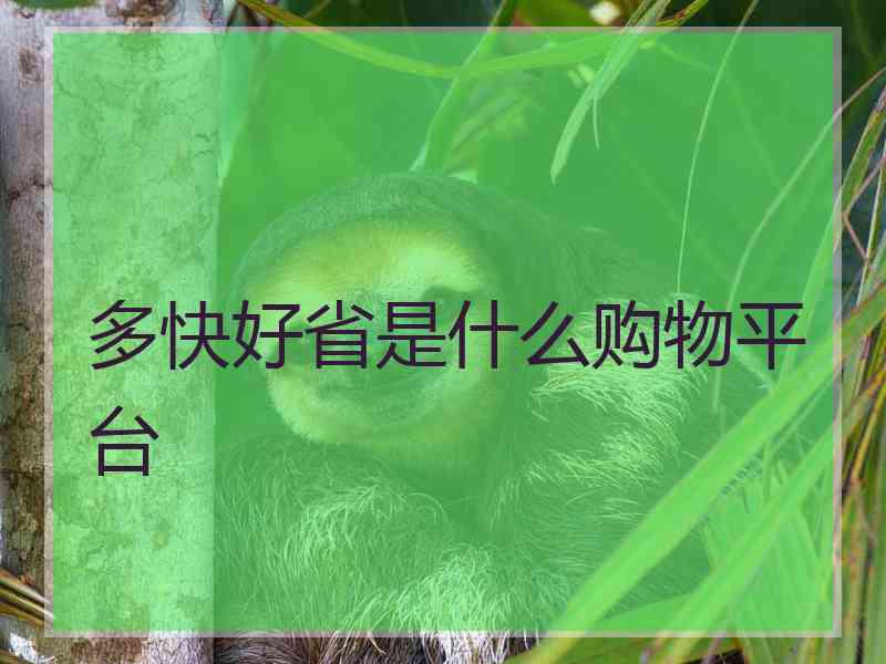多快好省是什么购物平台 多快好省是什么购物平台