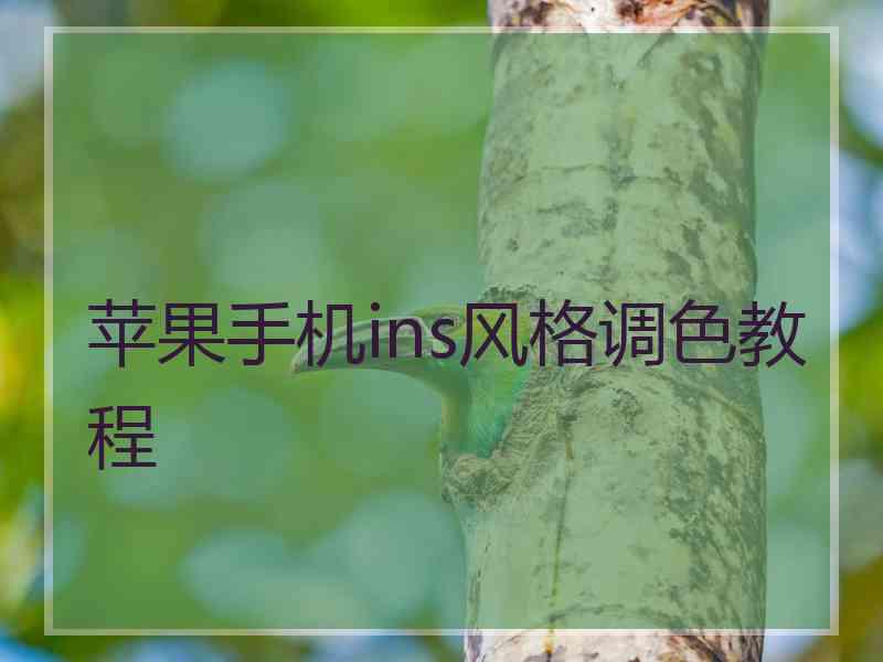 苹果手机ins风格调色教程