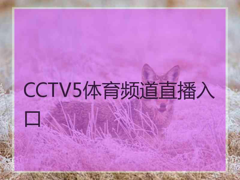 CCTV5体育频道直播入口