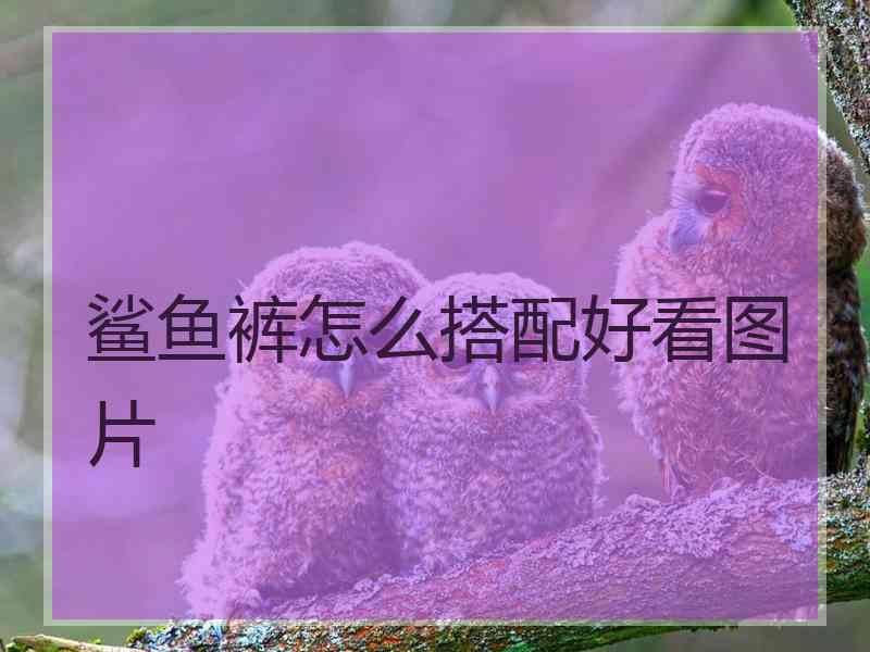 鲨鱼裤怎么搭配好看图片 鲨鱼裤怎么搭配好看图片