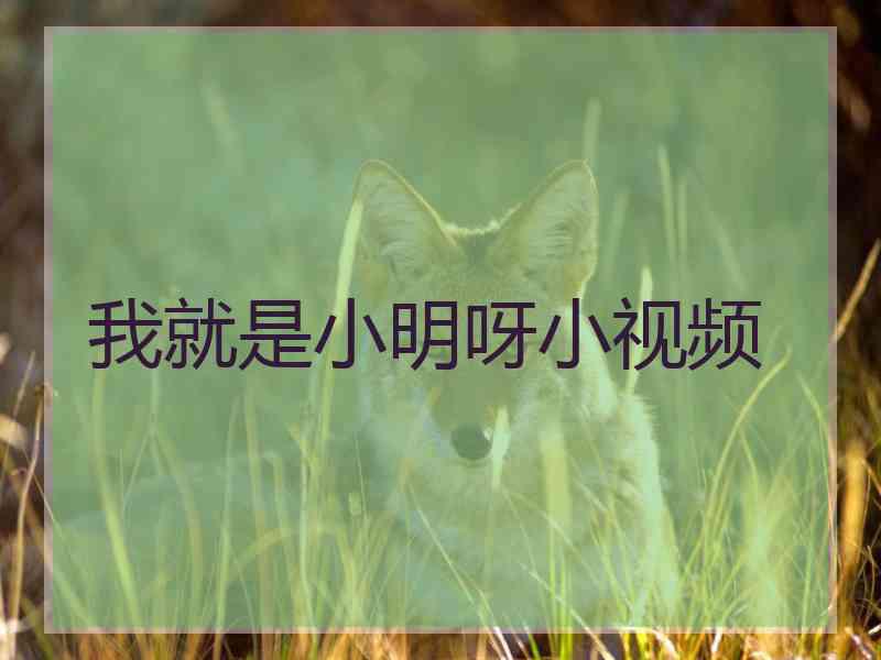 我就是小明呀小视频