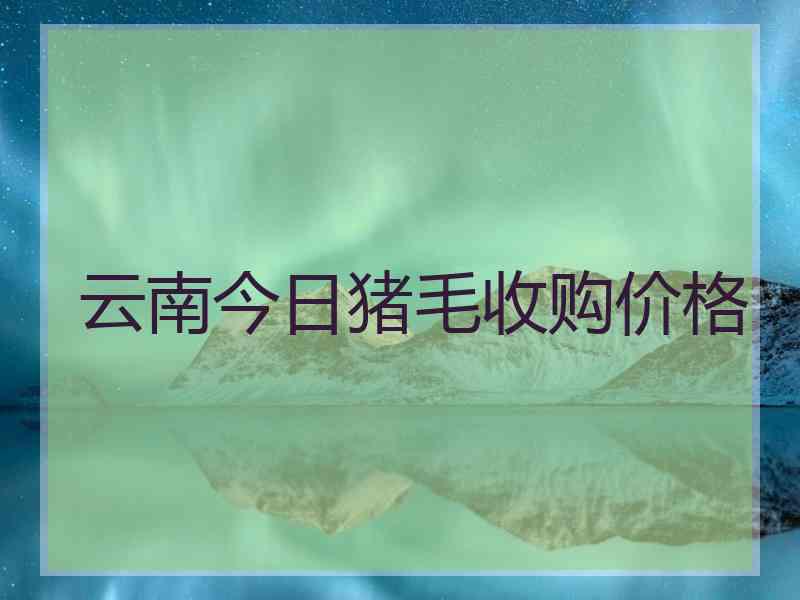 云南今日猪毛收购价格 云南今日猪毛收购价格
