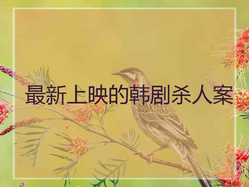 最新上映的韩剧杀人案 最新上映的韩剧杀人案