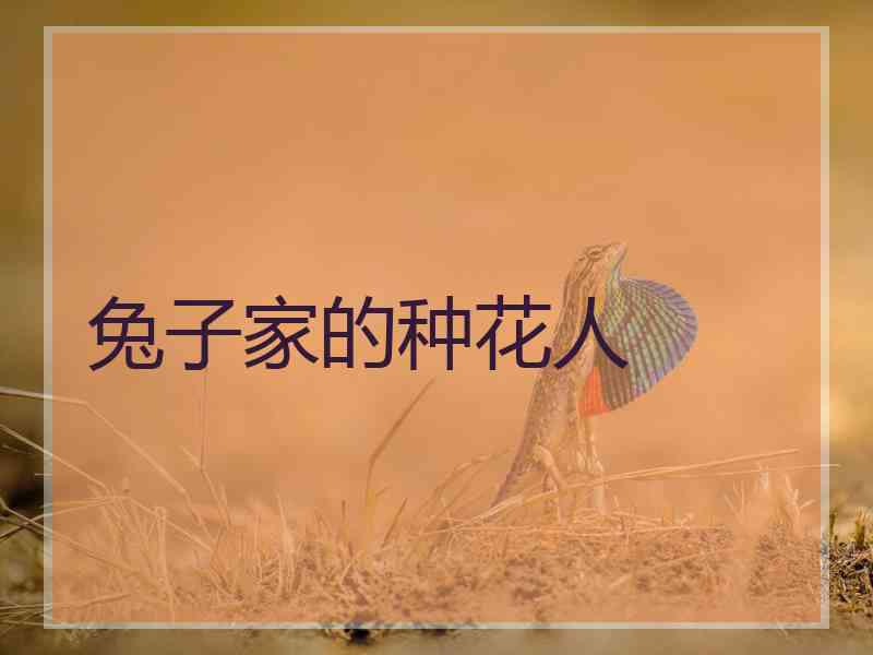 兔子家的种花人 兔子家的种花人