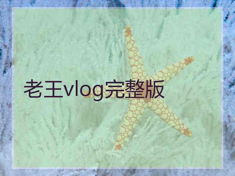 老王vlog完整版 老王vlog完整版