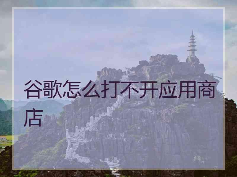 谷歌怎么打不开应用商店 谷歌怎么打不开应用商店