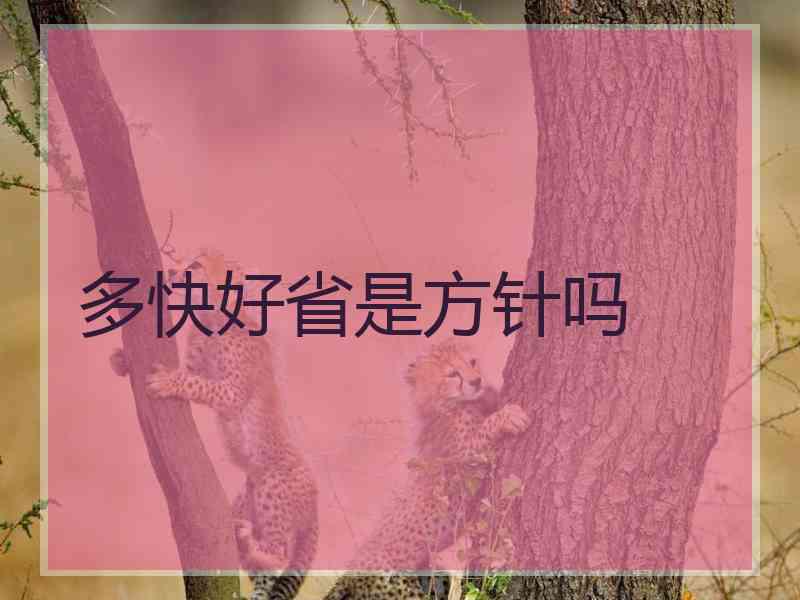 多快好省是方针吗 多快好省是方针吗