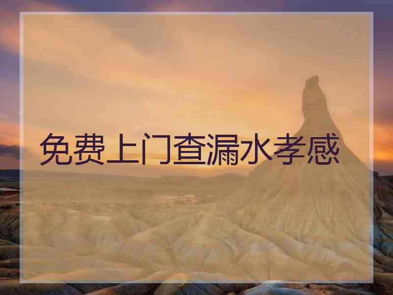免费上门查漏水孝感 免费上门查漏水孝感