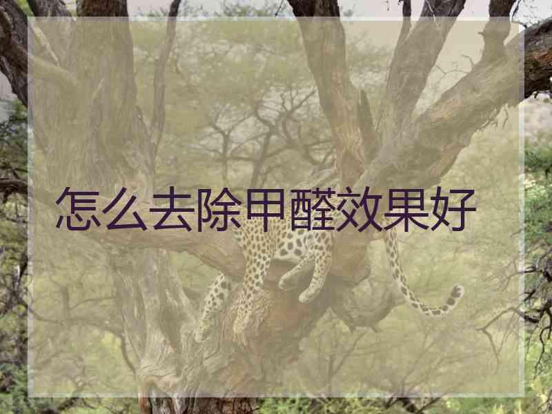 怎么去除甲醛效果好 怎么去除甲醛效果好