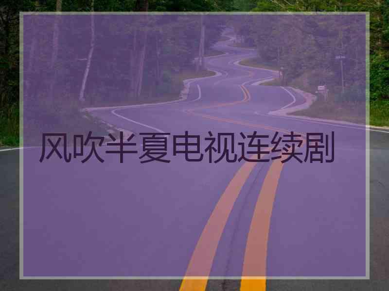 风吹半夏电视连续剧