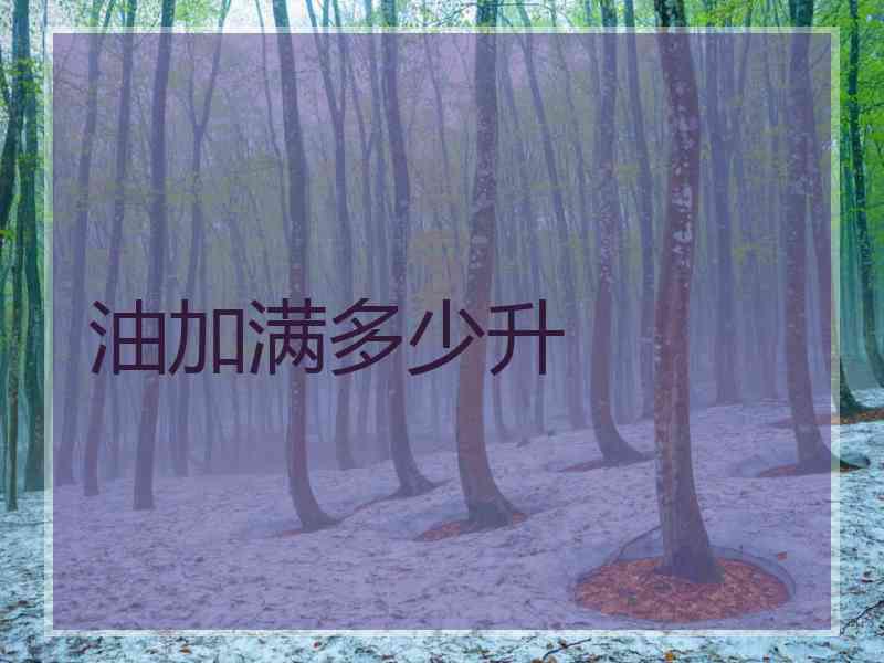 油加满多少升 油加满多少升