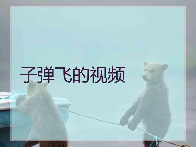 子弹飞的视频 子弹飞的视频