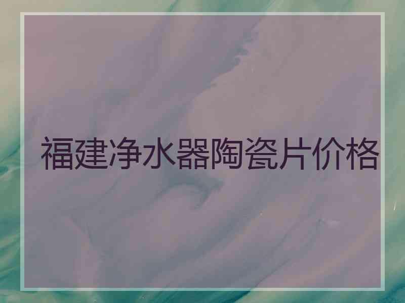 福建净水器陶瓷片价格 福建净水器陶瓷片价格