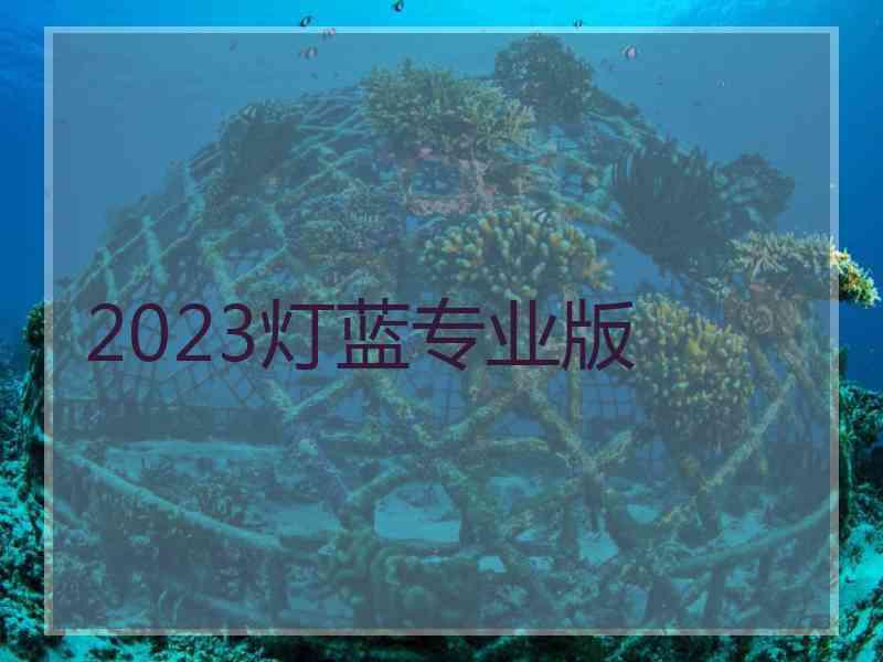 2023灯蓝专业版 2023灯蓝专业版