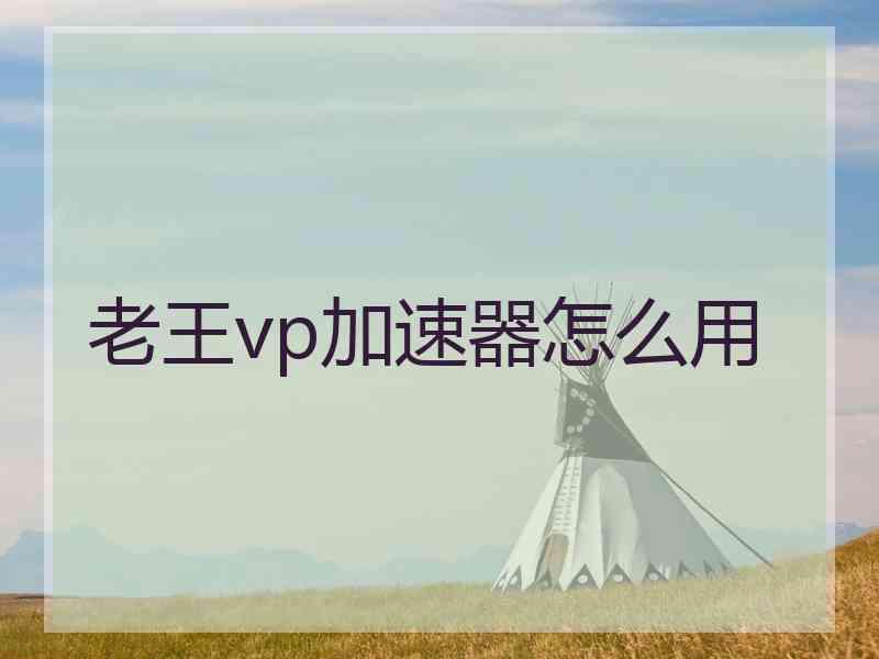老王vp加速器怎么用 老王vp加速器怎么用