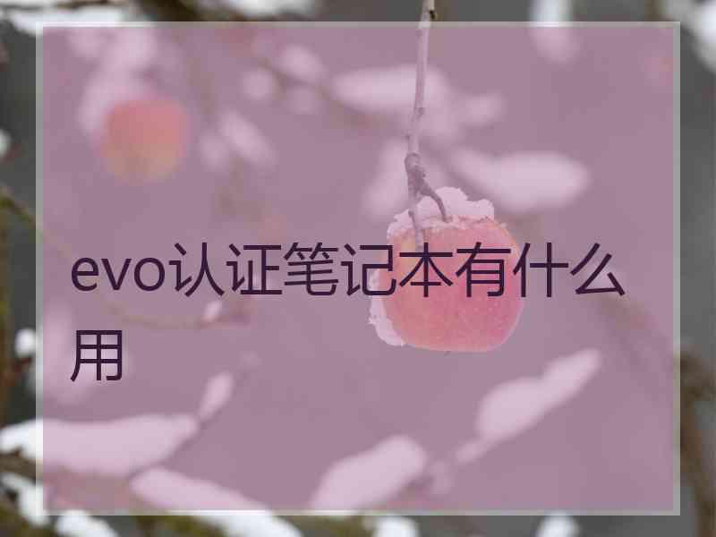 evo认证笔记本有什么用 evo认证笔记本有什么用