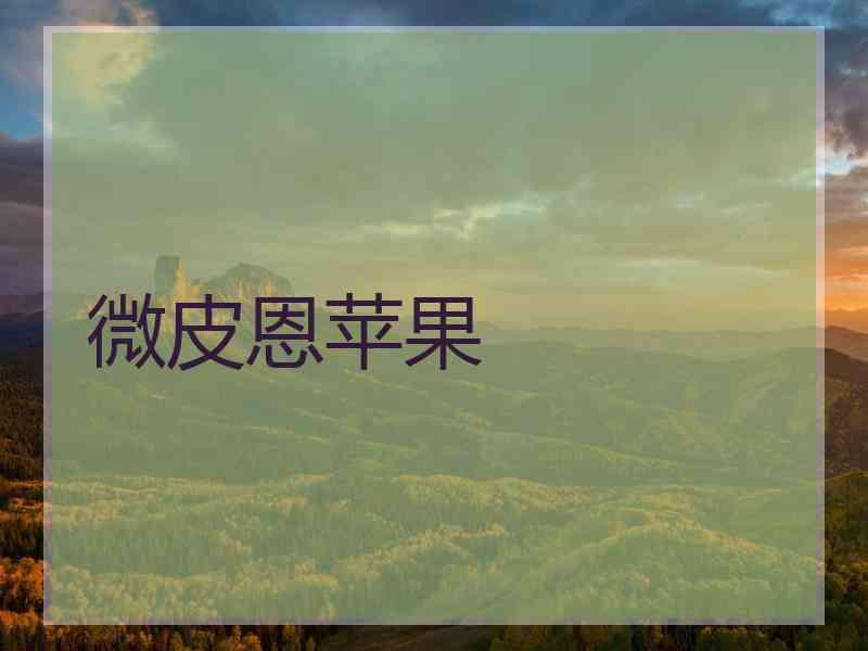 微皮恩苹果 微皮恩苹果