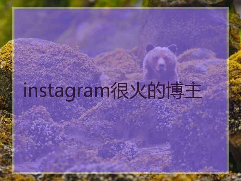 instagram很火的博主